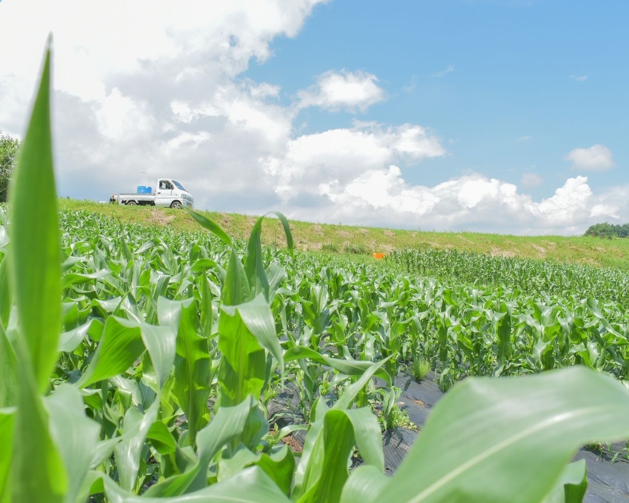 パートナー事業